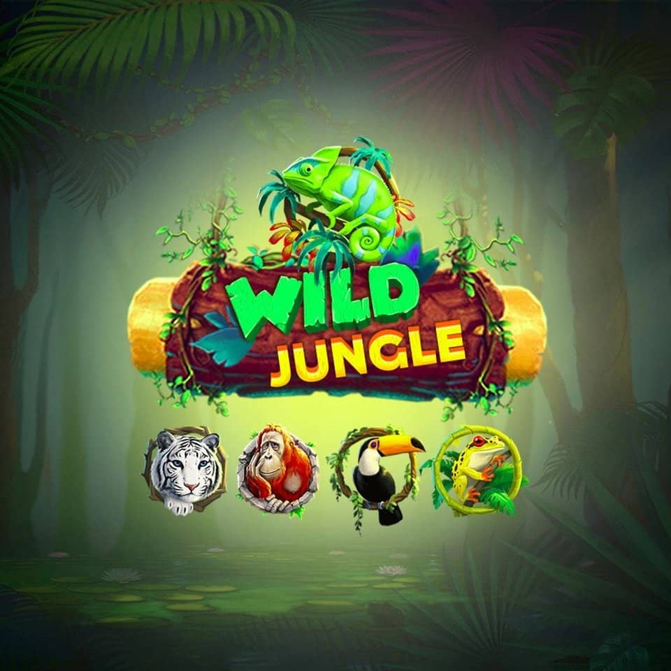 Jogos estrela bet